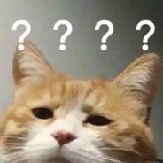 请杀我，放过我队友