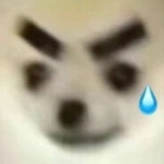 我要丸猿神！！！