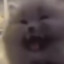 私は親切にしようとし