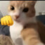 狙击手小猫