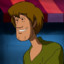 Shaggy Rogers