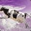 Flying-Cow