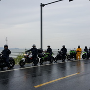 查莉娅没有性生活