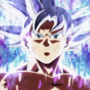 极品双面龟宝宝