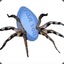 Boner Death Spider