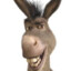 DONKEY