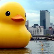 rubberduck