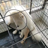 人送匪号李人屠