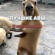 ганяю на скутері's avatar