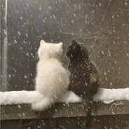 心から死んだ❤