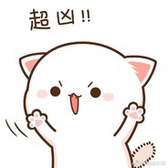 卷大炮