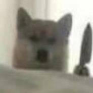 晓看天色暮看云