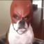 Bixxcoitoo