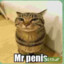 Mr penis