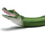 CrocoDildo