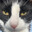 Watch demo