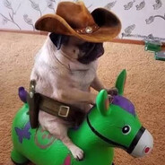 ogku$h - steam id 76561198842493254