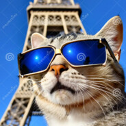 Gato de Paris