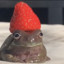 Strawberry Frog (RARE)