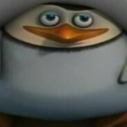 Skipper
