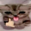 One (1) Kilogram