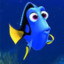 Dory