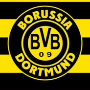 borussia d0rtmund - steam id 76561199691811781