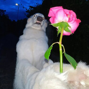 ker romanticar - steam id 76561199223808104