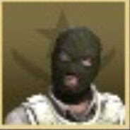 电脑玩家 贺加斯