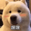 榆包包包包
