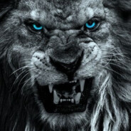 Chasc0 - steam id 76561199657351557