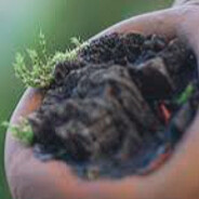 Avatar of moldytoefungus2024