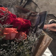 爱吃沙拉的狮子