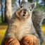 Squirrel nuts