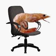 Plump Skrimp
