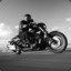 Harleysport883
