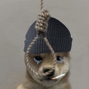 Vemper remember no hormny