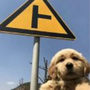 大哥别锁我丶求求了