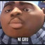 N1Gru