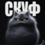 Сашкин Сын