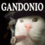 Gandonio