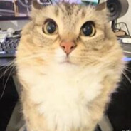 本台记者俞文波为您报道