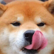 楪
