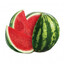 арбуз