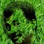 Neil the Grassy Tyson