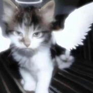 满目山河不及你.