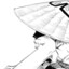 Yangyangyang