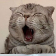 竹蜻蜓！！！！！！