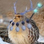 Inflammable&Delicious