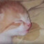 eepy